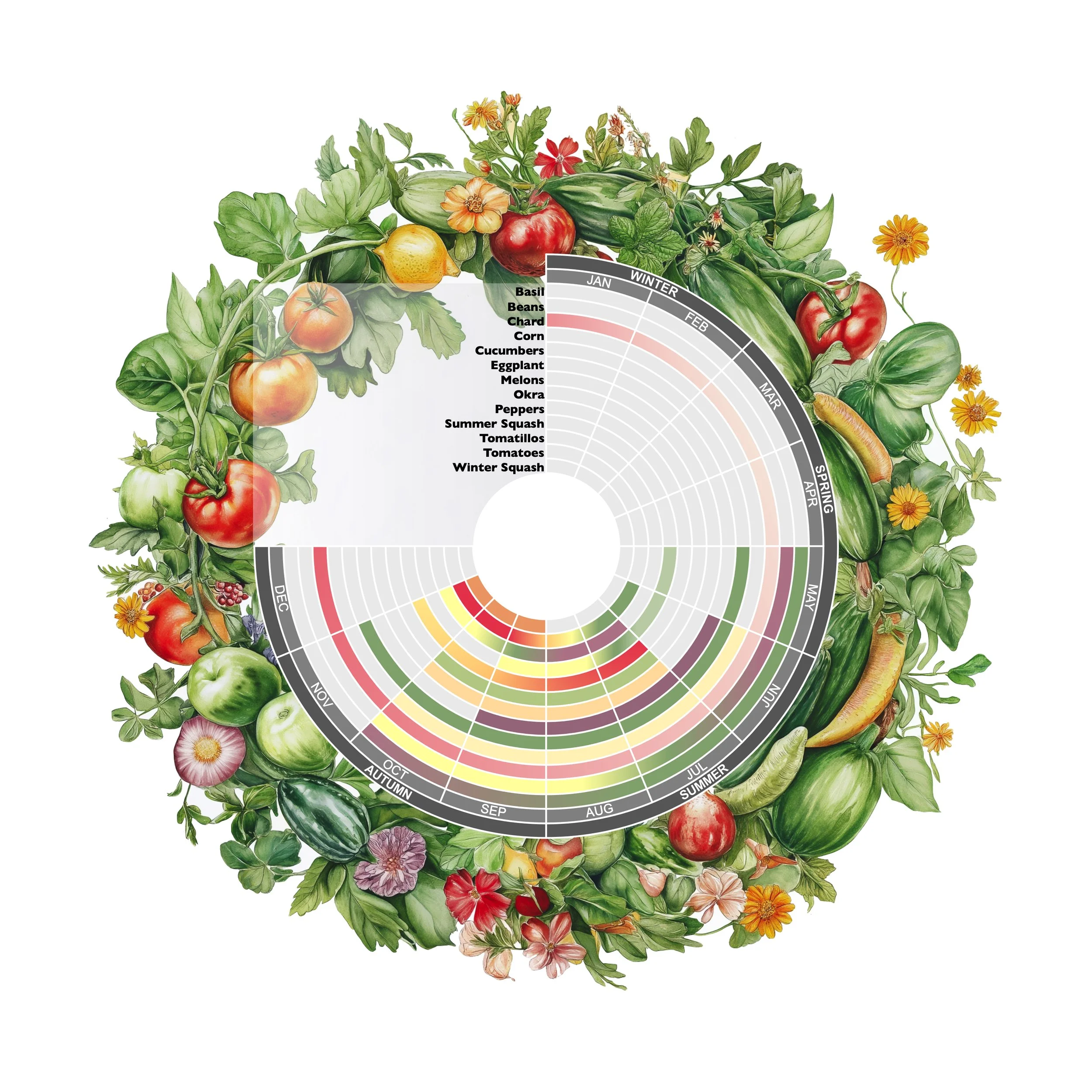 Sht-1-Spring Summer.JPG