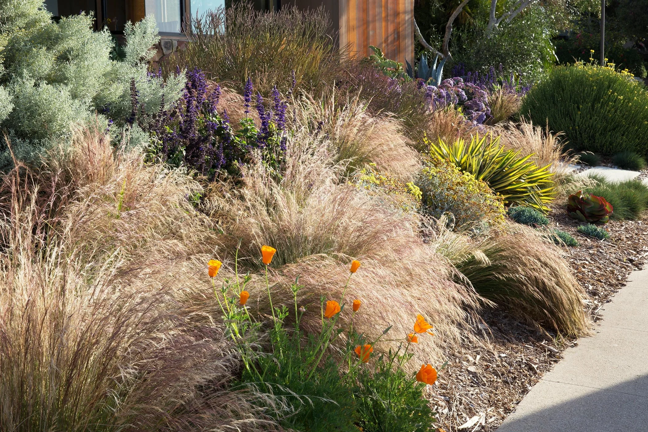 native landscaping expertise california, foodscape design professionals, san francisco gated community landscaping, experiential landscape design los angeles, climate-responsive landscape planning