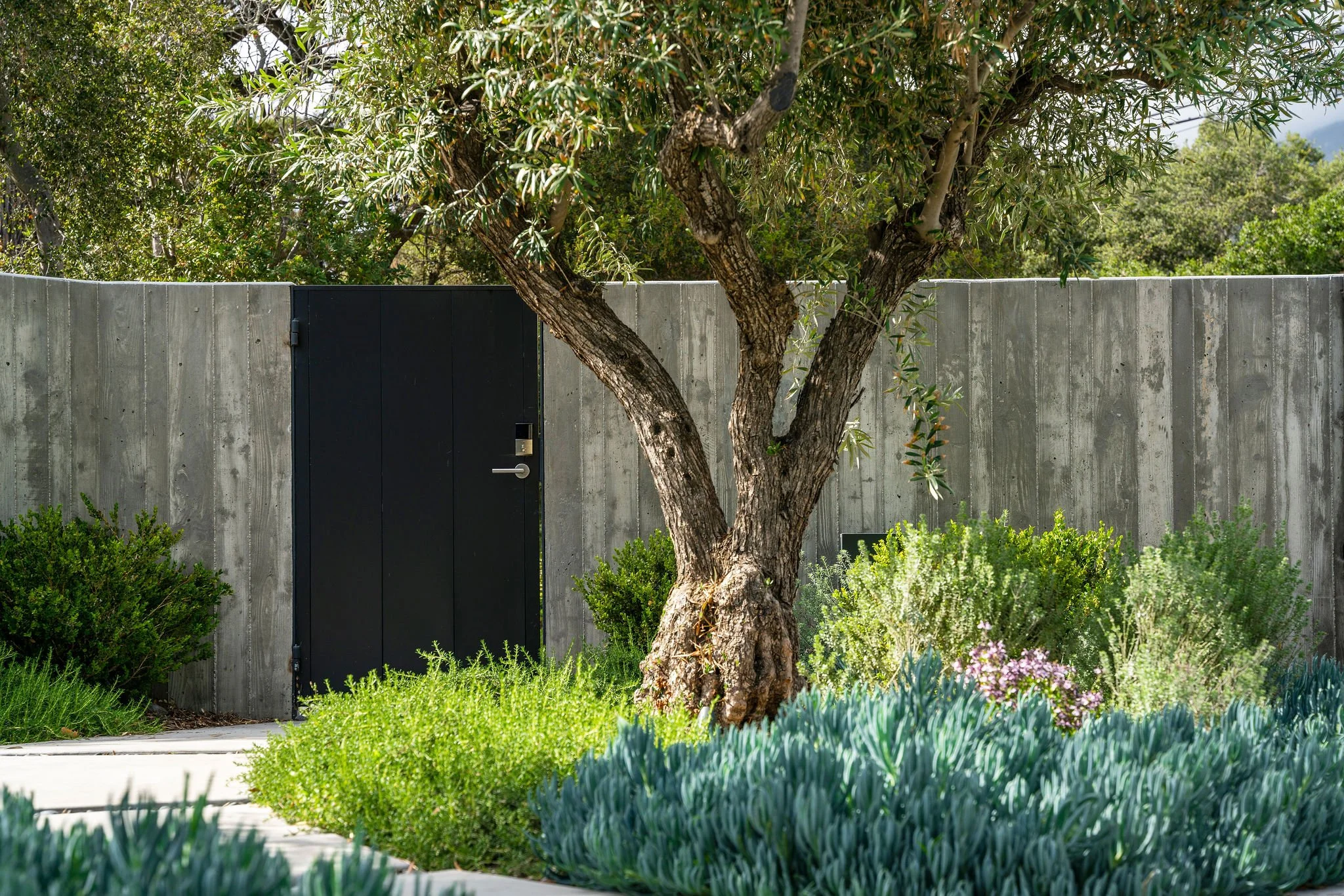 sustainable landscape design palo alto, climate-resilient landscaping california, regenerative garden design california, native and drought-tolerant planting plans, eco-friendly garden design firm, Las Alturas
