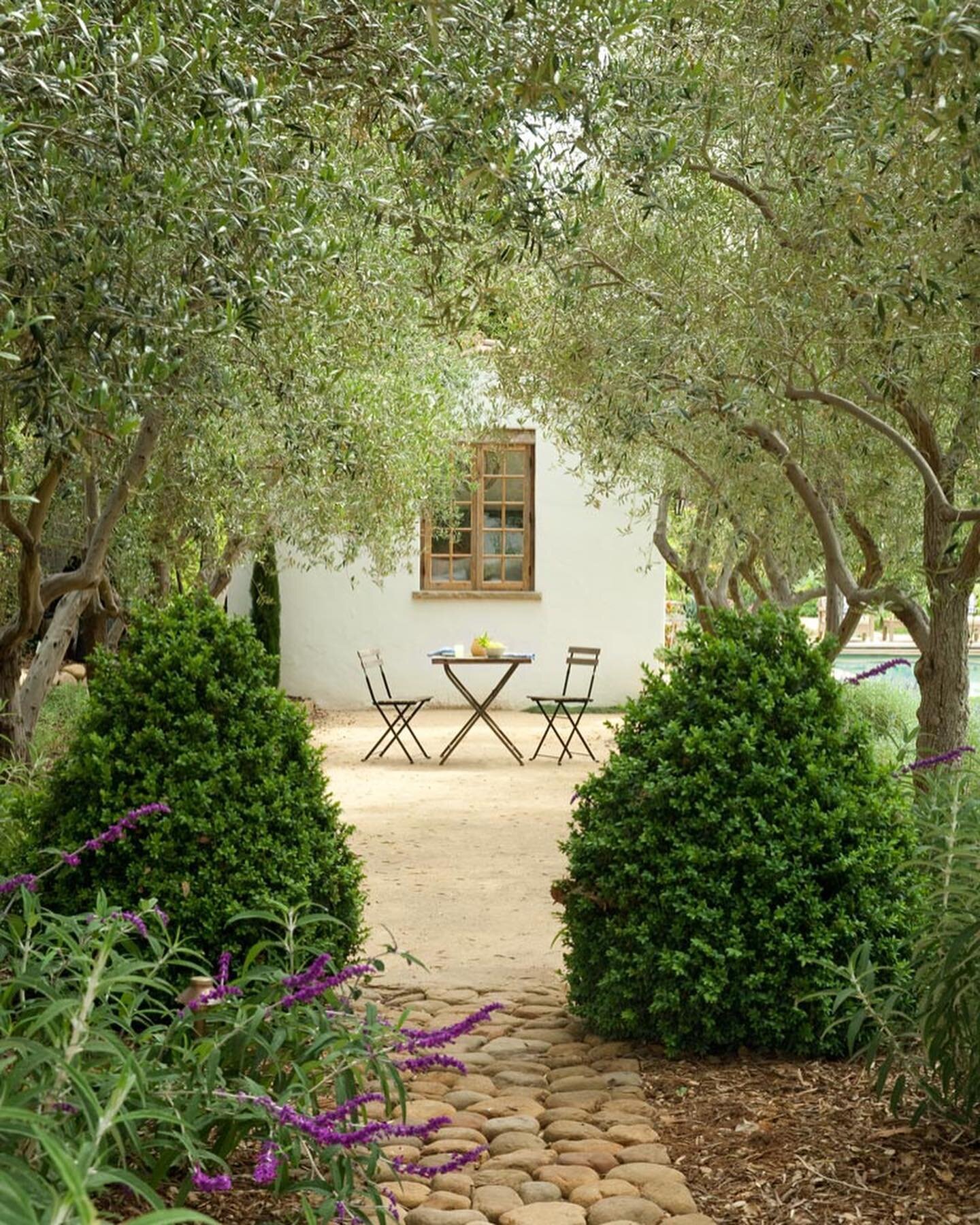 Imagine transporting yourself to Italy and enjoying a cafe in this Mediterranean garden surrounded by olive trees. 
&bull;
&bull;
&bull;
&bull;
&bull;

#landscapearchitecture #landscape #landscapedesign #architecture #gardendesign #garden #design #la