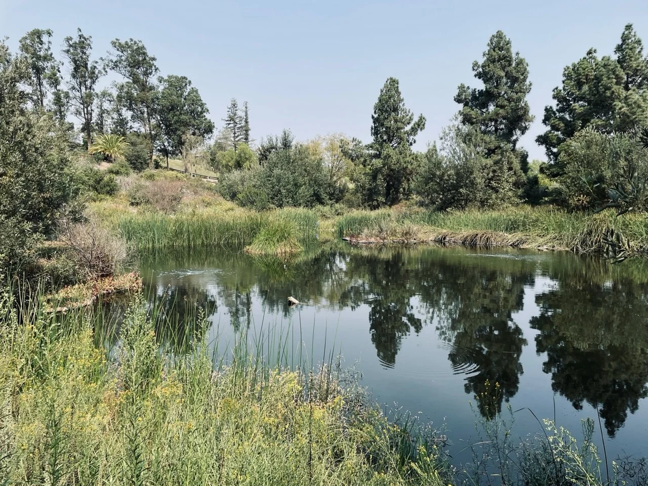 integrated site design with architecture, landscape architect for wineries california, landscape pre-development consulting, native plant landscape design firm, sustainable landscape architect california