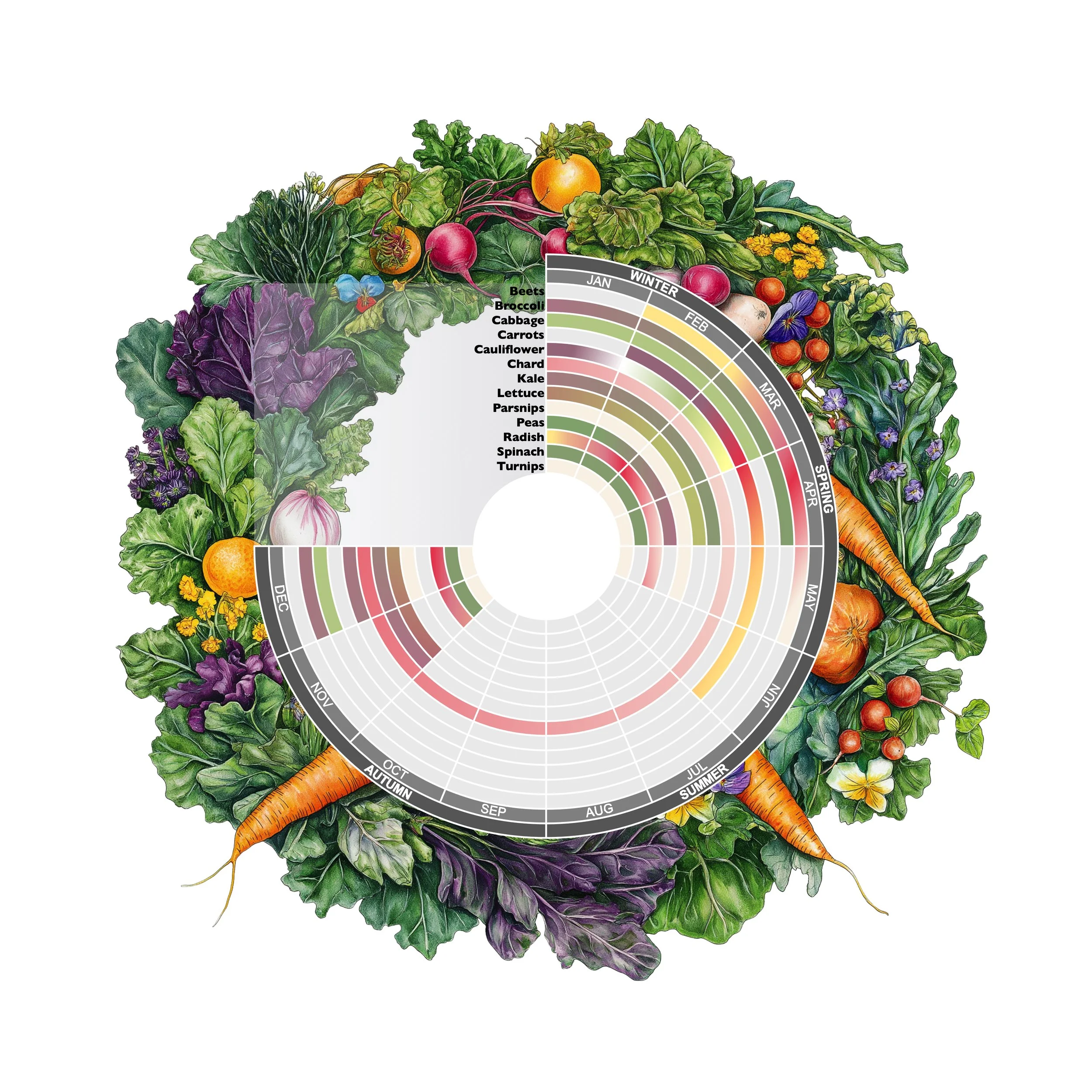 Sht-2-Winter Fall.JPG