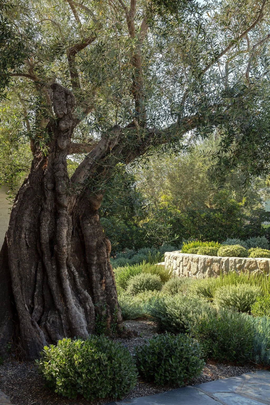 montecito landscape architecture, sustainable landscape design palo alto, full-service landscape architect california, california landscape designers, landscape architecture for wineries