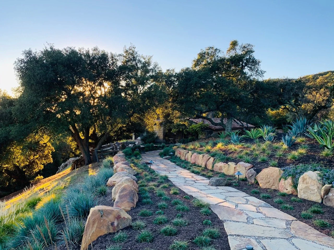 landscape design for senior living communities, pet-friendly landscape solutions, botanical garden landscape architecture, artisan garden landscaping, landscape architecture for art venues