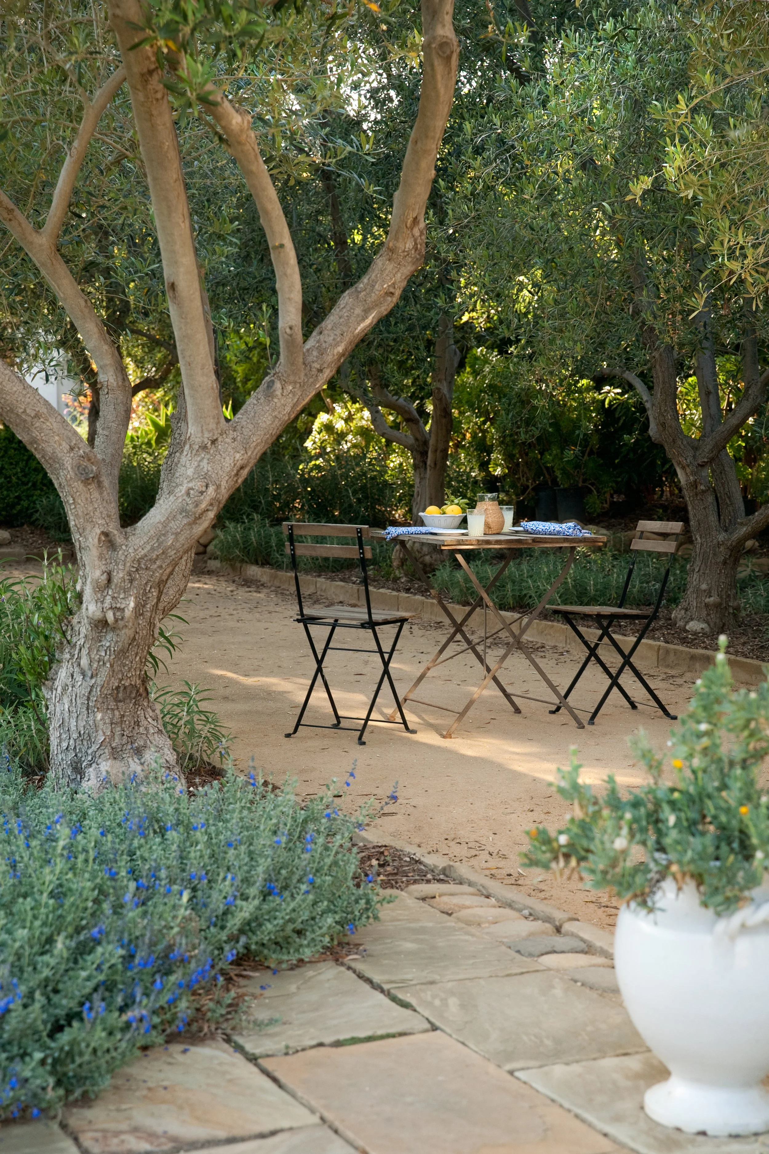 Outdoor bistro set in a garden with black foldable chairs, a small round table, lemons in a bowl, and surrounding trees and plants.