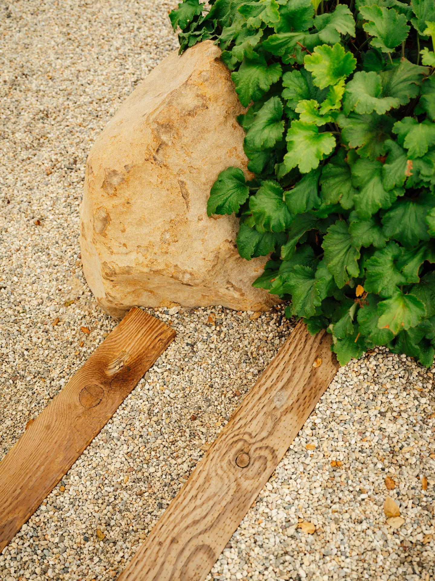 wood steps gravel path