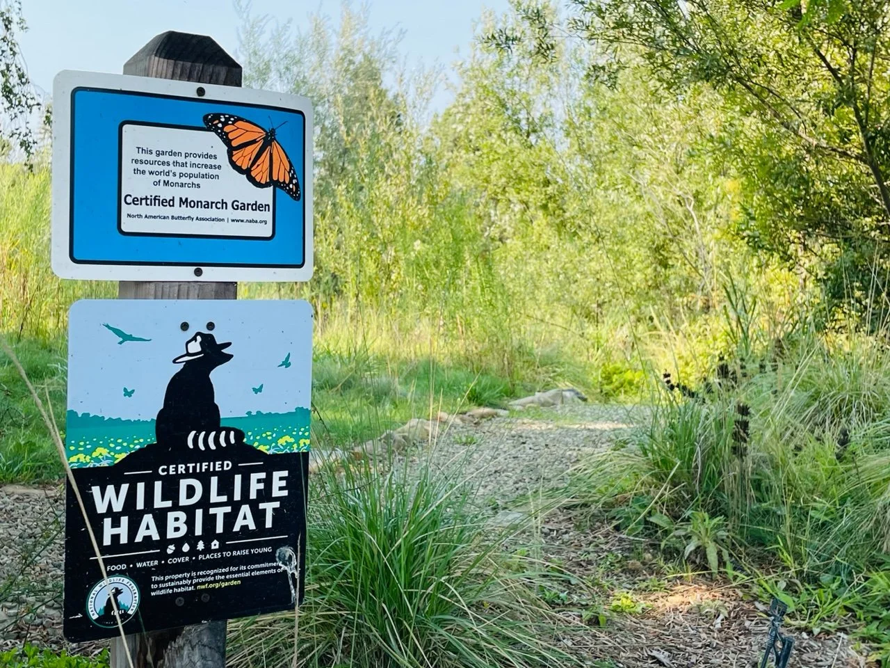 santa barbara landscape design services, summerland landscape architects, hope ranch landscape design, upper eastside santa barbara landscaping, santa barbara landscape architecture