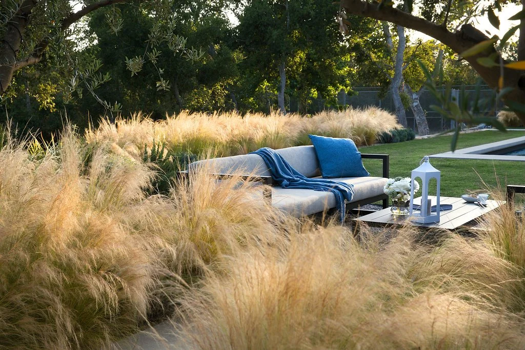 sustainable landscape design palo alto, climate-resilient landscaping california, regenerative garden design california, native and drought-tolerant planting plans, eco-friendly garden design firm