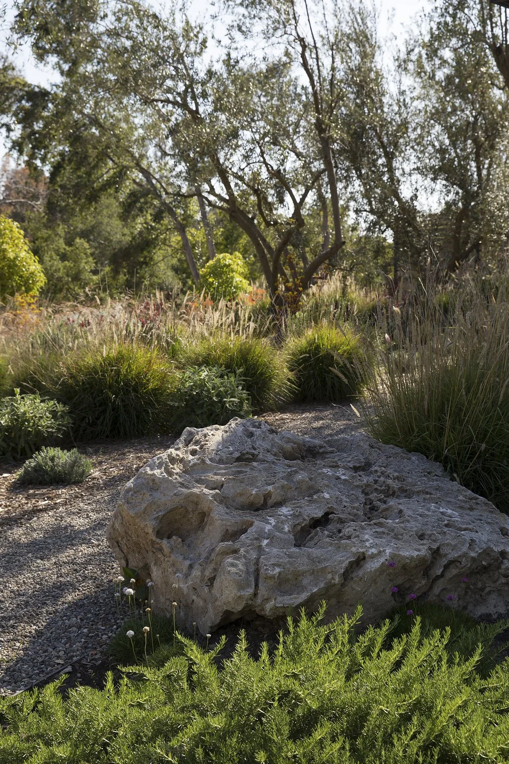 commercial landscape design santa barbara, landscape planning santa barbara, estate property landscape planning, vineyard landscape design firm, outdoor tasting room design california