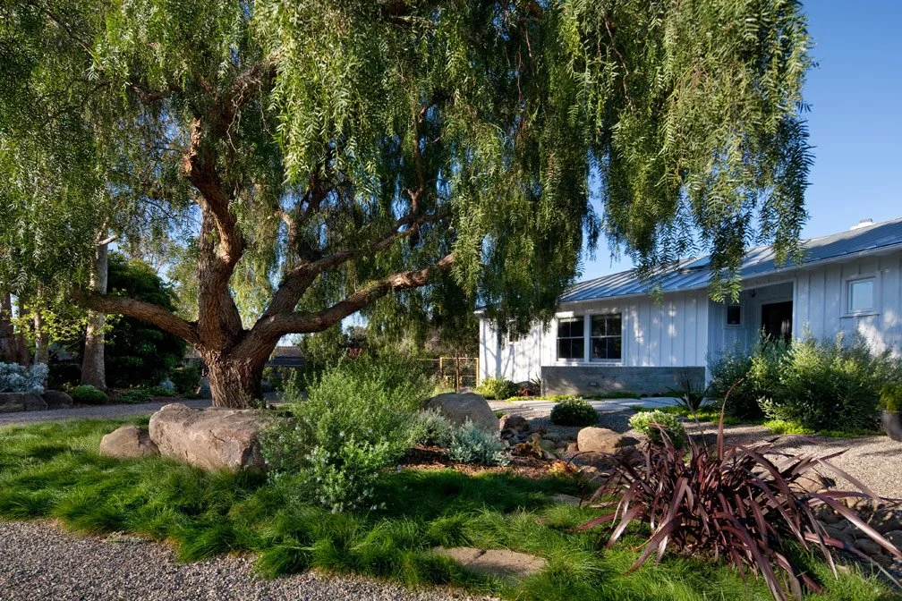 landscape master planning services, landscape design for developers california, grading and drainage design landscape architect, commercial landscape architect los angeles, pool design by landscape architect