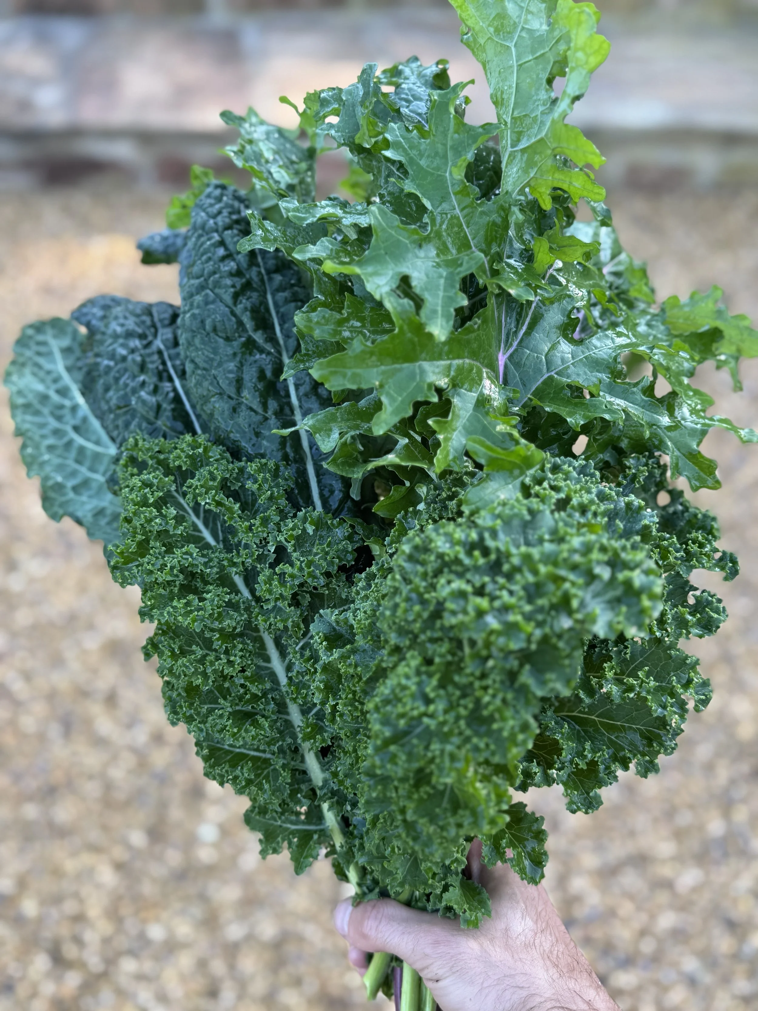 Kale Bouquet.jpg