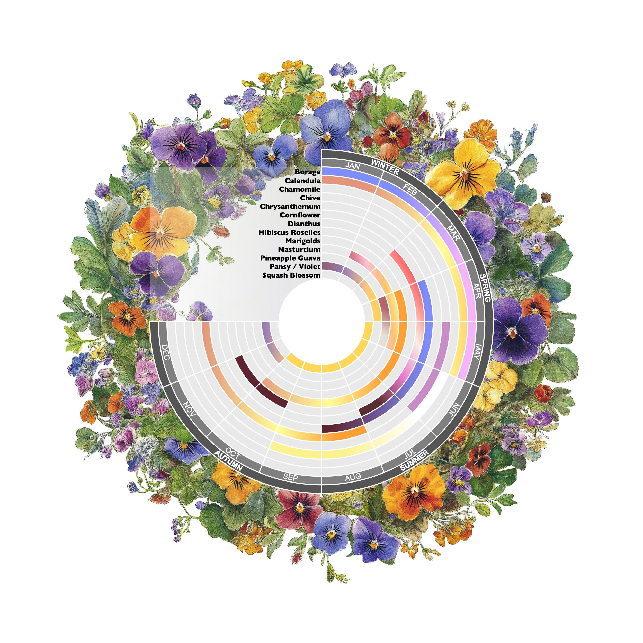 Harvest Calendar | Edible Flowers.JPG