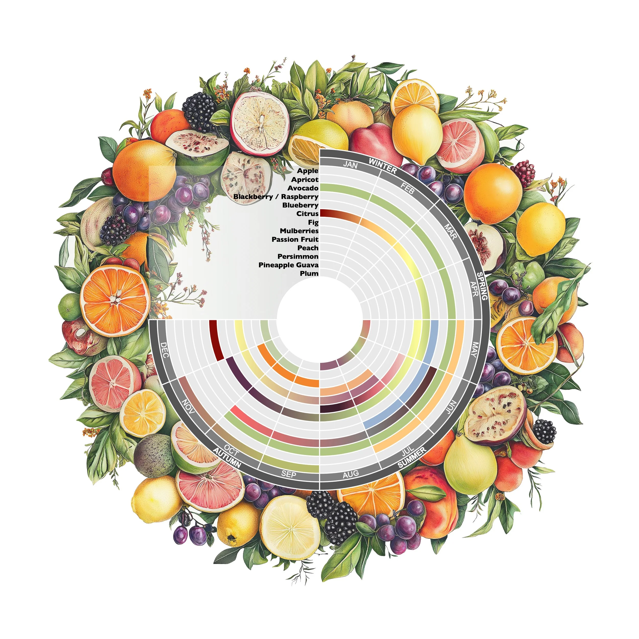 Sht-3-Perennial Fruit.JPG