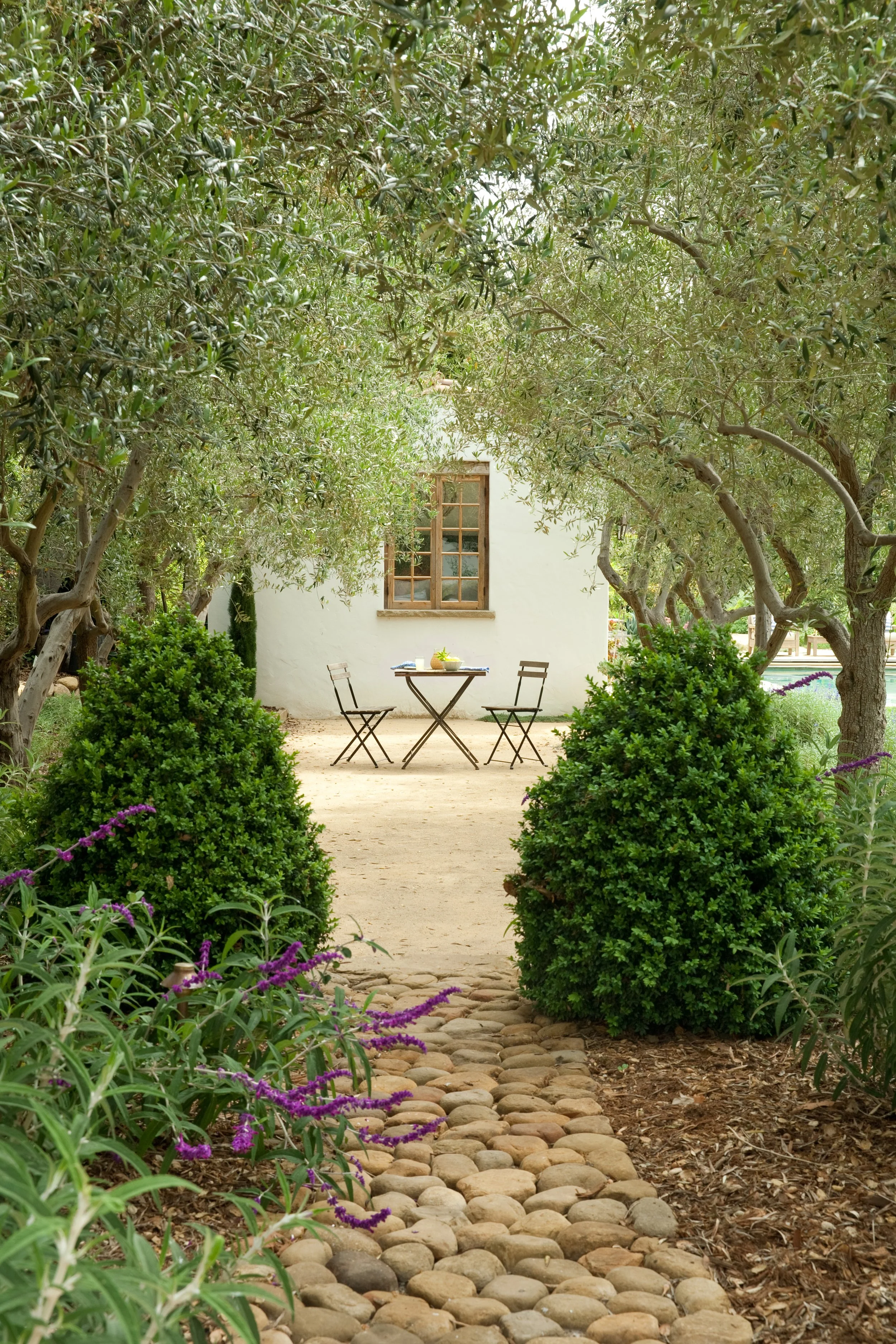 site planning landscape architect california, estate landscape design firm, campus and institutional landscape architecture, napa winery landscape architect, luxury estate landscaping atherton