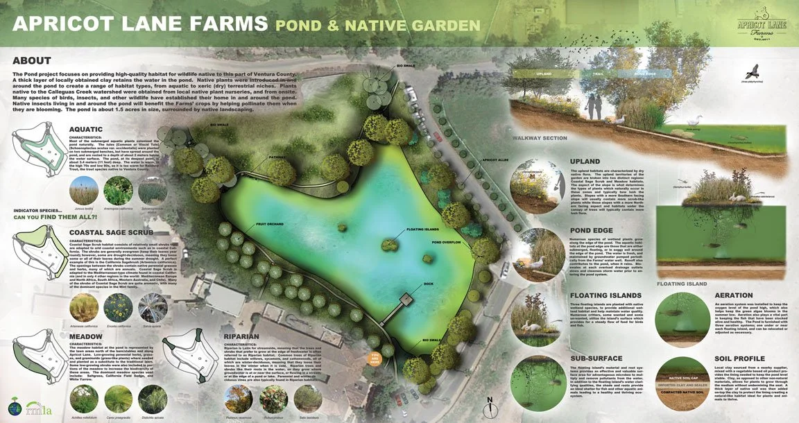 site planning landscape architect california, estate landscape design firm, campus and institutional landscape architecture, napa winery landscape architect, luxury estate landscaping atherton