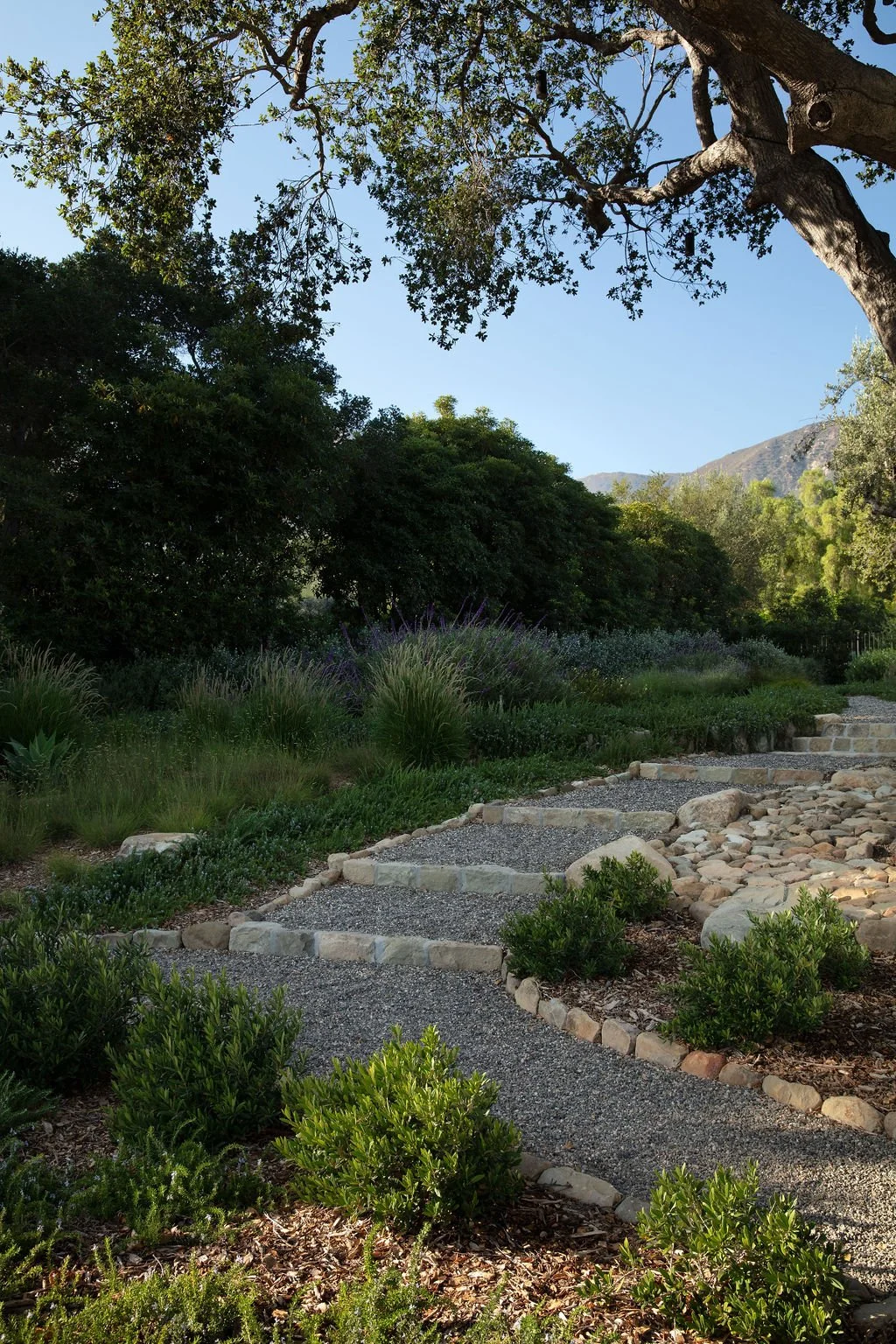 mediterranean-inspired landscape design, coastal landscaping san francisco, luxury residential landscape design, low-maintenance landscape architecture, urban farming landscape design