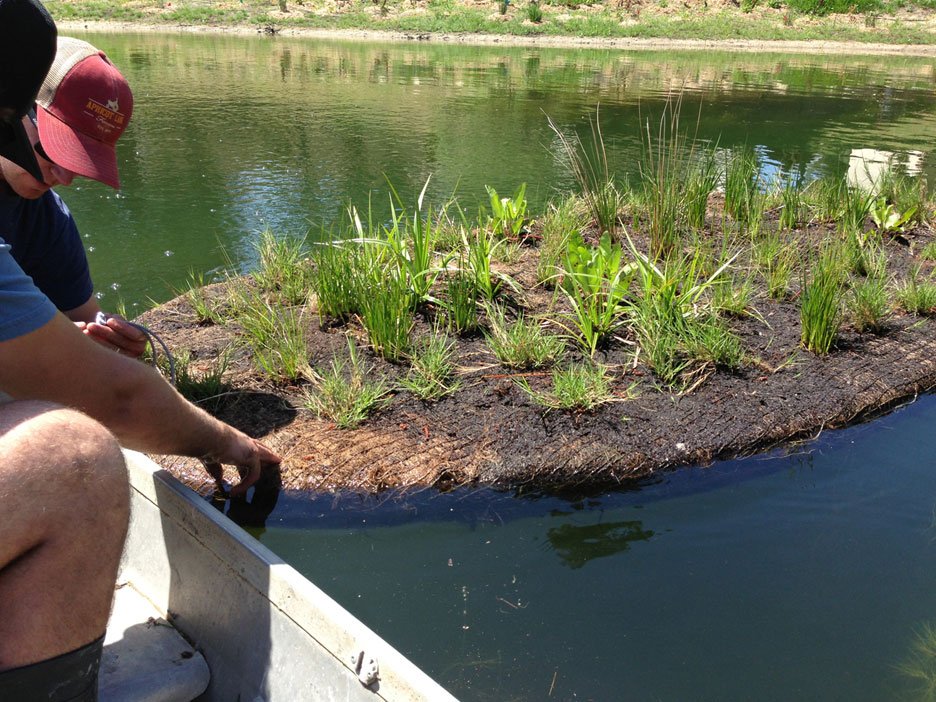 sustainable winery landscape design, environmentally sensitive site planning, drought-tolerant landscape architect, mediterranean-inspired gardens california, best landscape architects in santa barbara