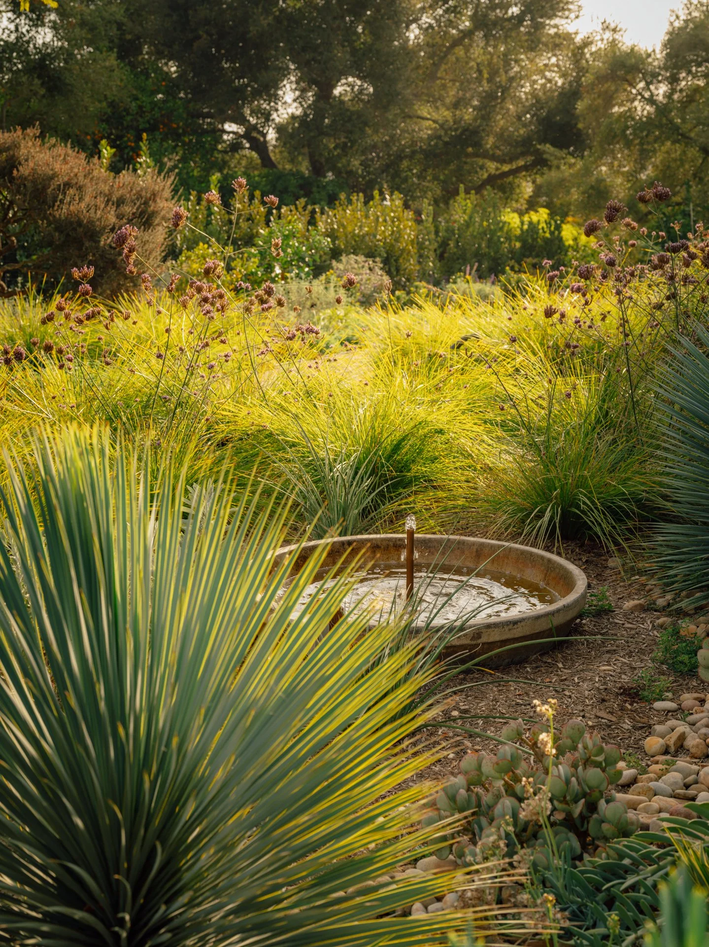 water feature, dry garden