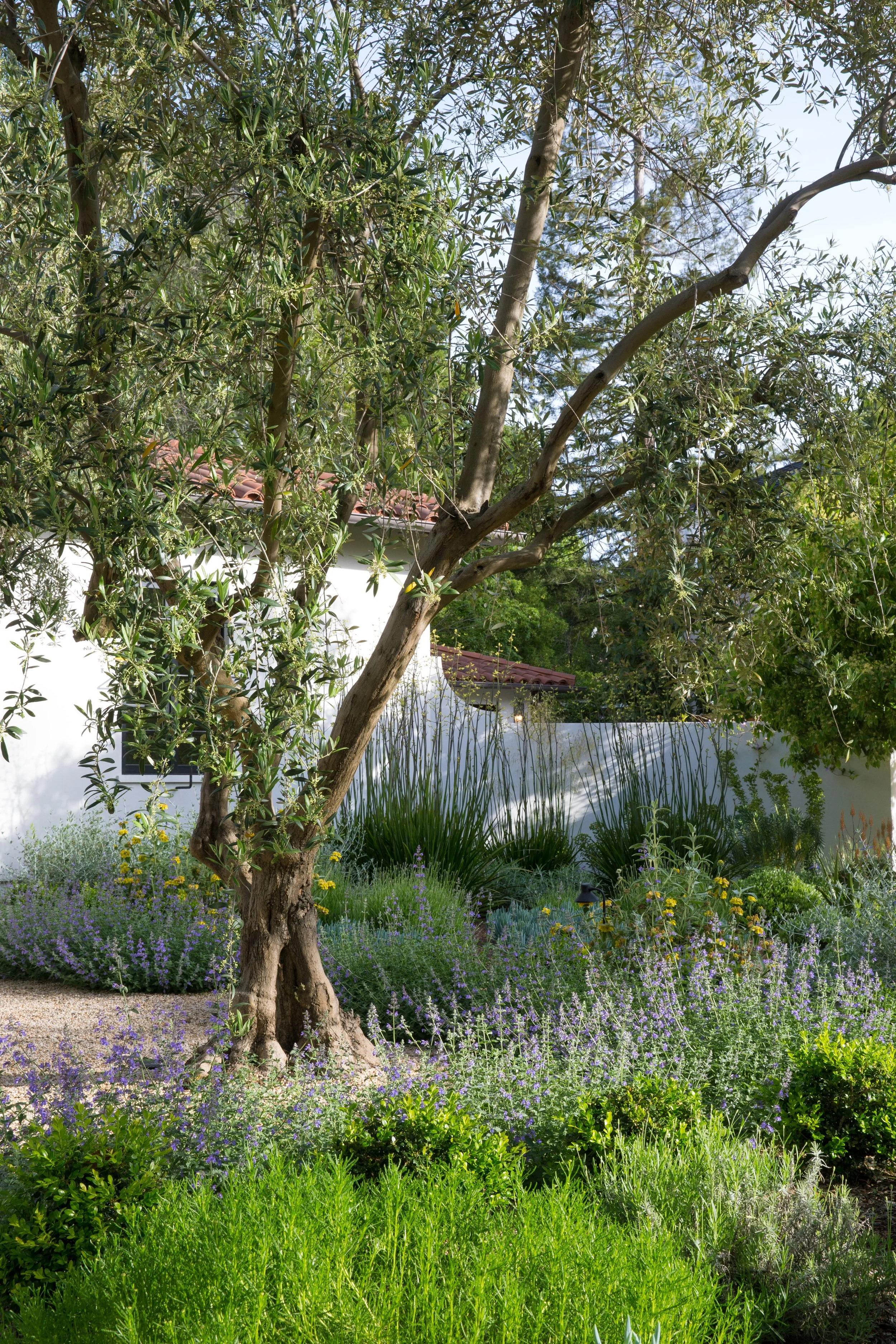 hospitality landscape design california, landscape architecture for luxury hotels, collaborative landscape design for gcs, landscape architect construction coordination, landscape architecture rolling hills ca