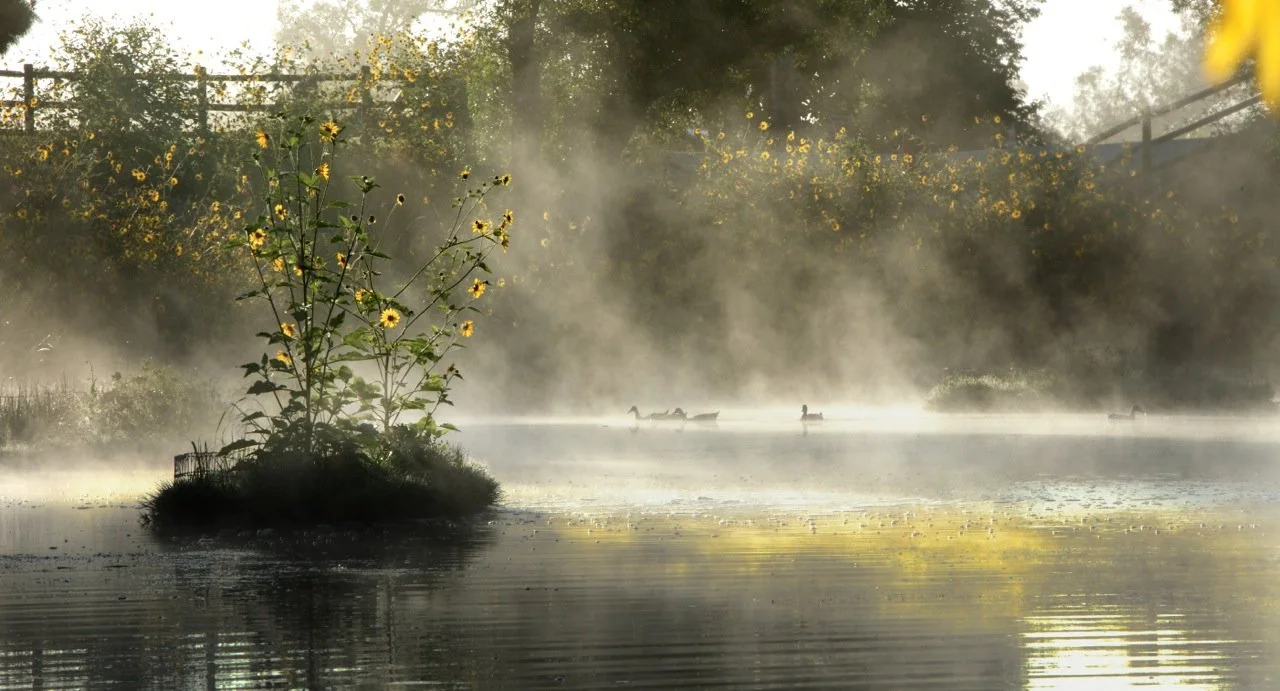 goleta landscape designers, landscape architecture in santa barbara, montecito landscape architecture, residential landscape architecture santa barbara, eco-friendly landscape architects santa barbara 93105