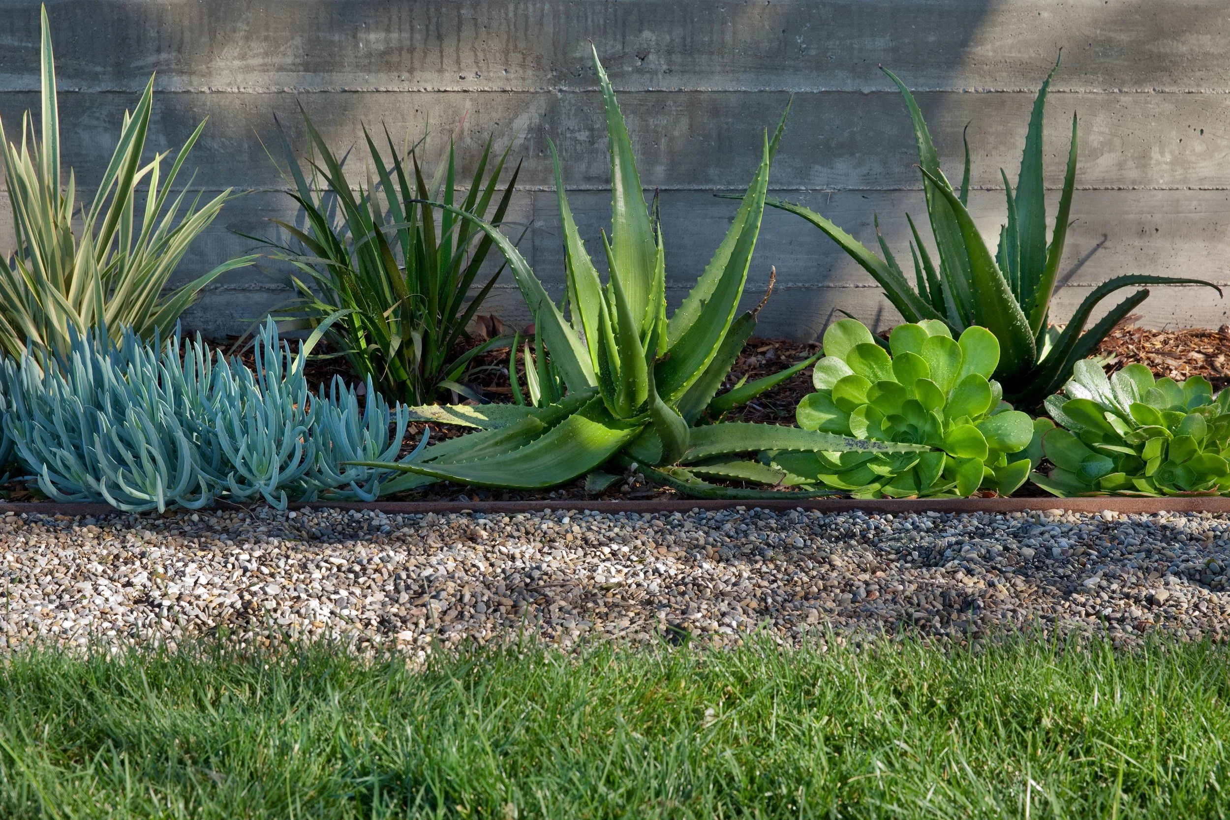 native plant landscape design firm, site planning landscape architect california, mixed-use development landscape architecture, landscape architect construction coordination, collaborative landscape design for gcs