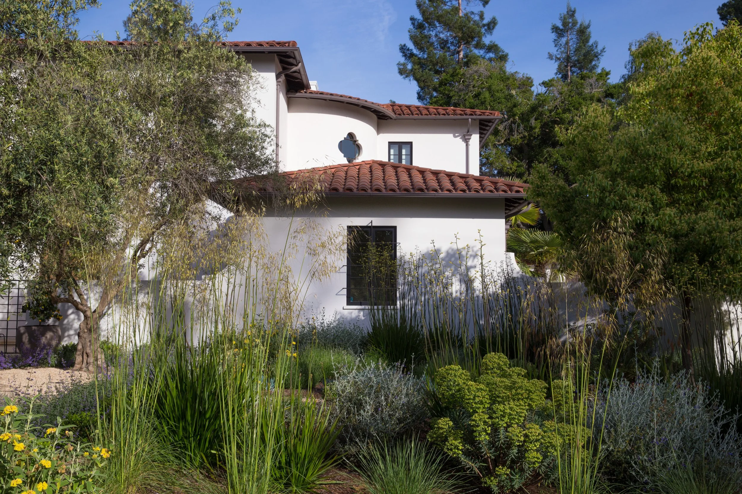 sustainable landscape design palo alto, climate-resilient landscaping california, regenerative garden design california, native and drought-tolerant planting plans, eco-friendly garden design firm
