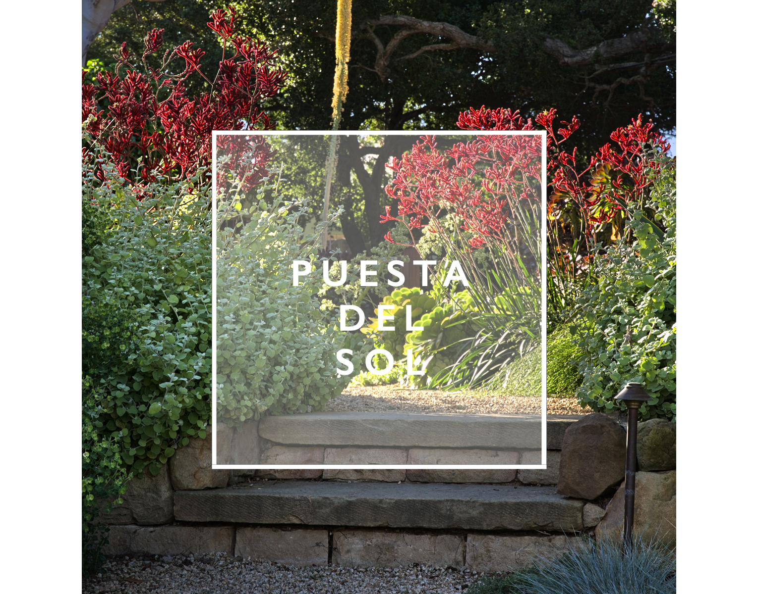 puesta del sol, water-efficient landscape design california, outdoor living space design, estate garden design services, landscape architect for sustainable homes, seasonal landscaping services