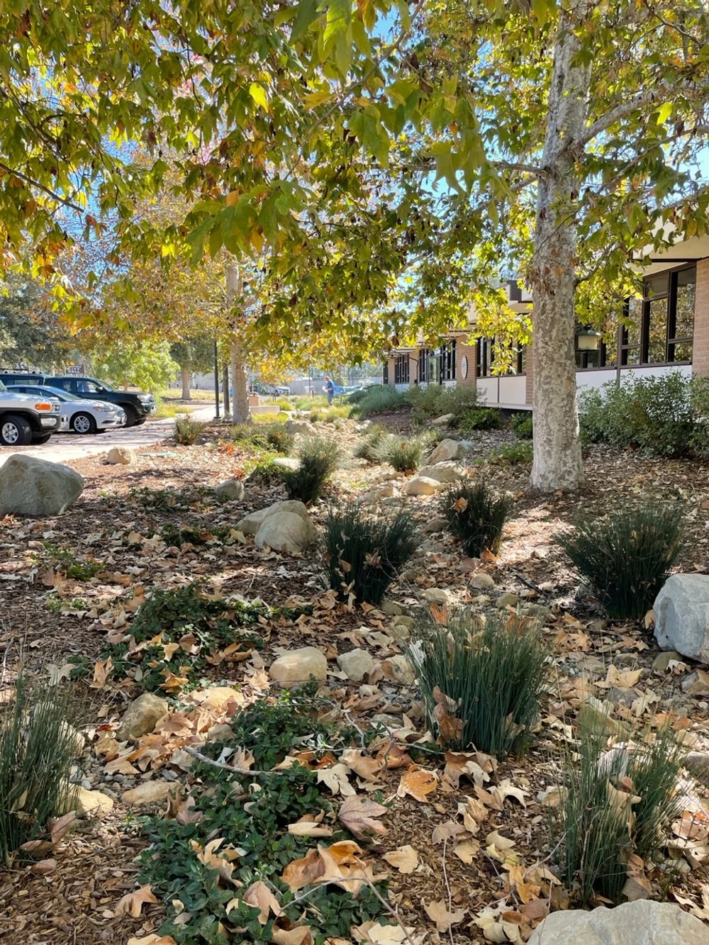 santa barbara landscape design services, los angeles landscape architects, high-end landscape design malibu, goleta landscape designers, landscape planning santa barbara