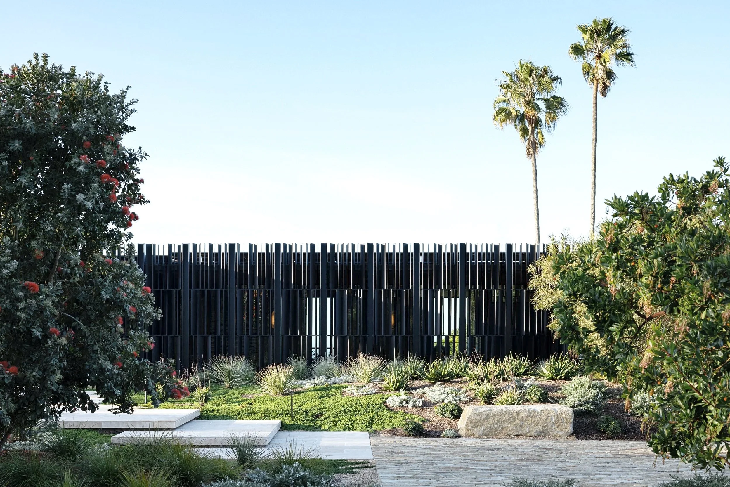 Feinblatt_20250304_0001_WEB ONLY.jpg