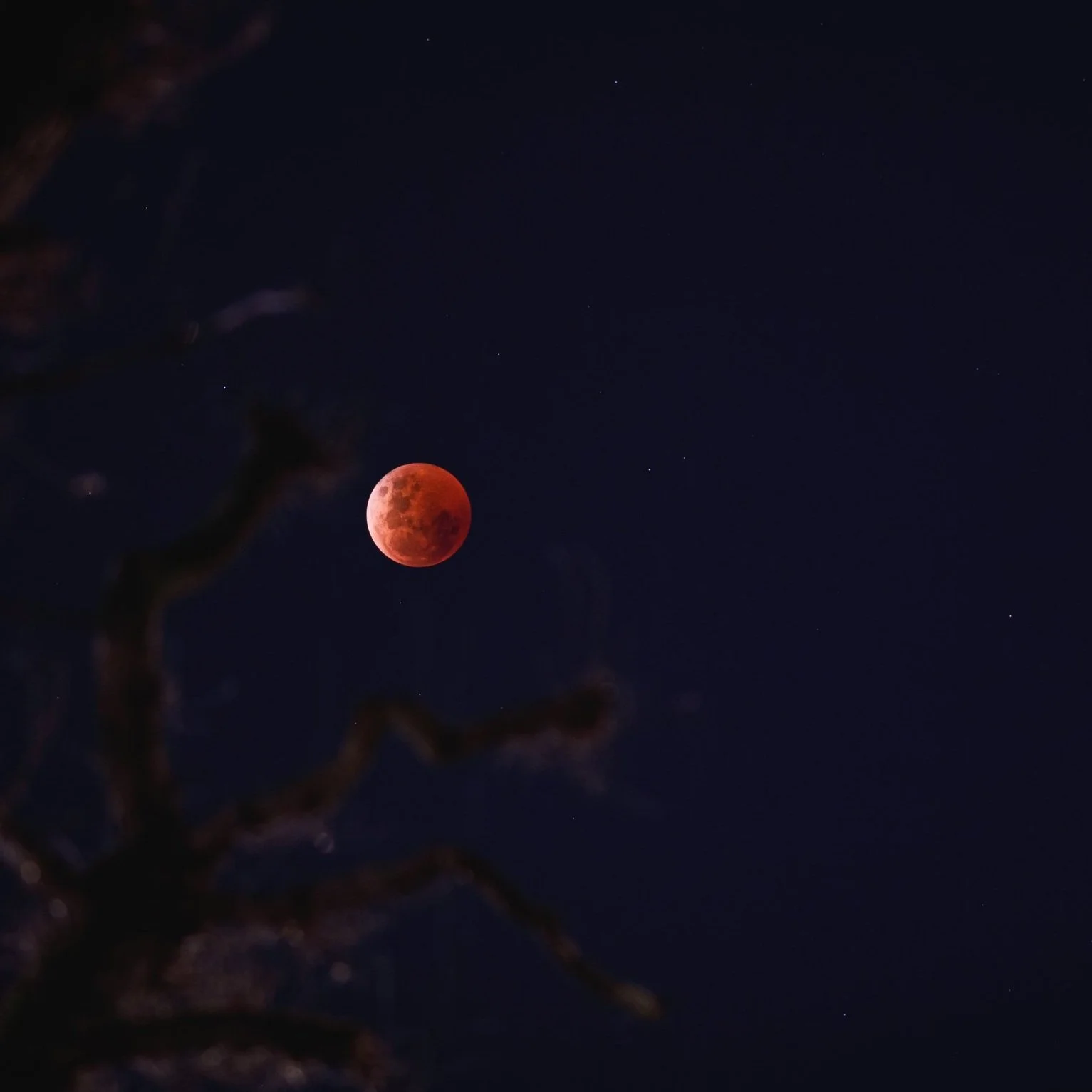 22.11.08 Total Lunar Eclipse.jpg