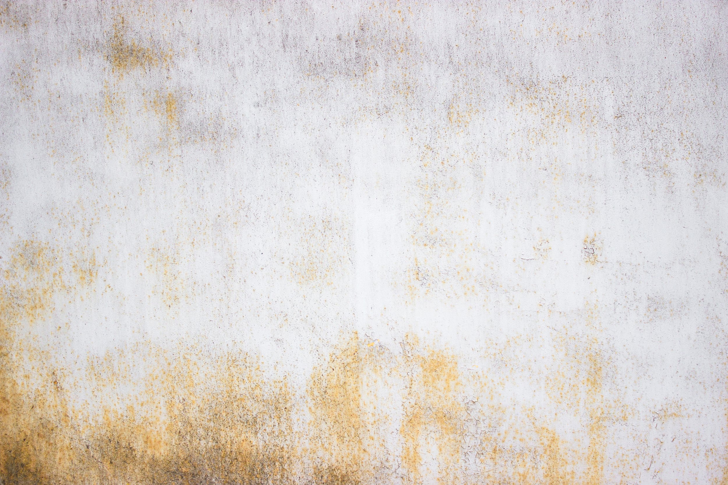 AdobeStock_141158662.jpeg