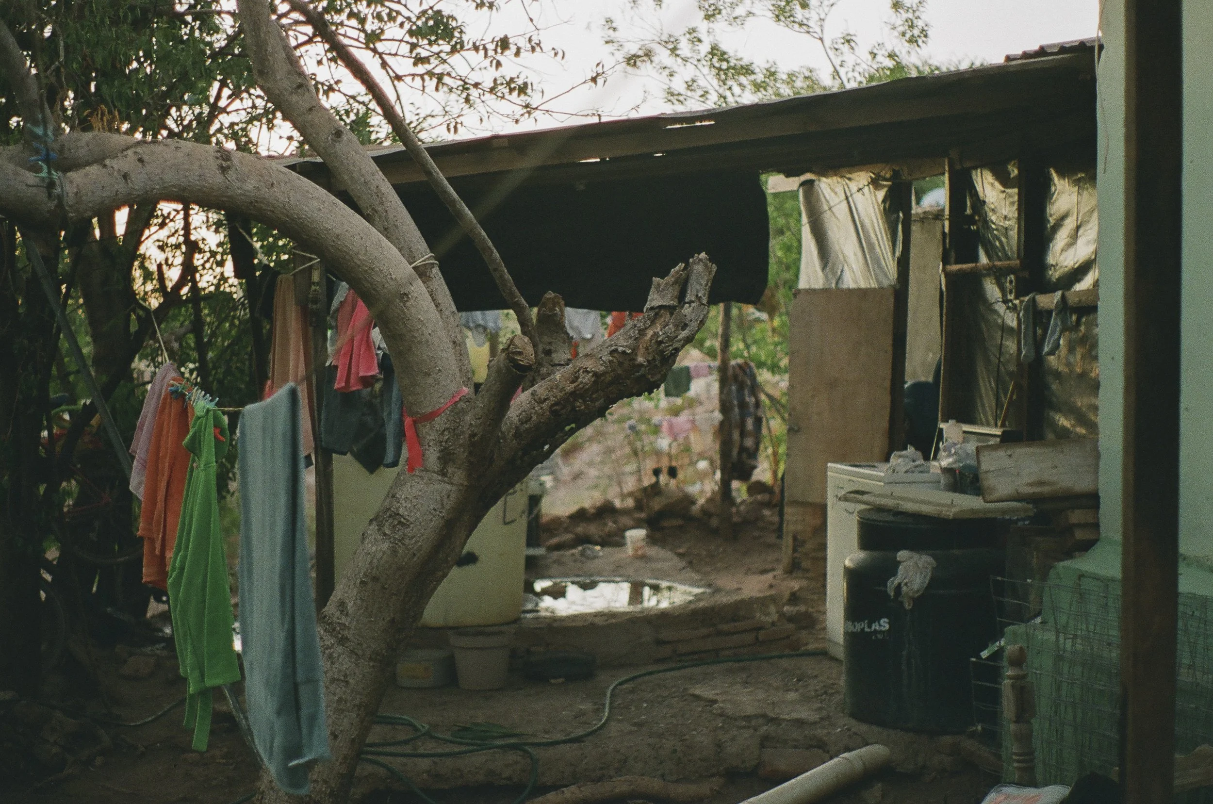 My Abuela's backyard, which isn't a person in my life but feels like its own character still