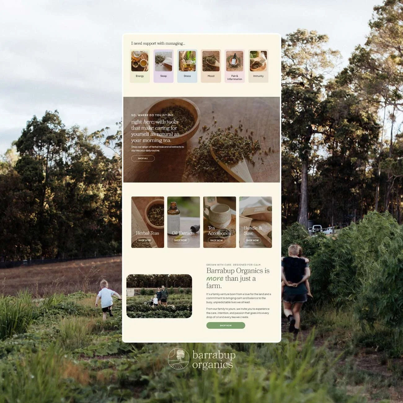 Website design for Barrabup Organics designed by Perth Shopify website designer One Circle Studio.