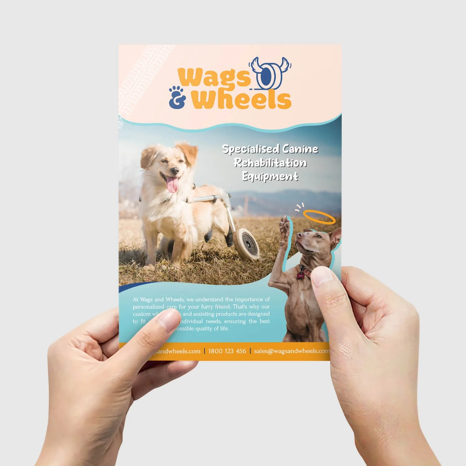 Wags & Wheels flyer designed by graphic designer & motion designer, Moore Motion Design