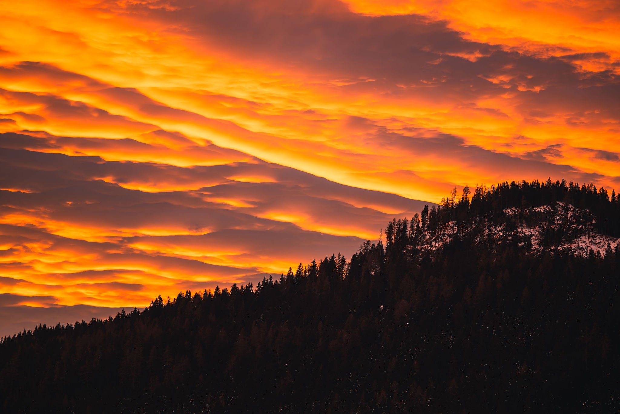 Red Morning | 1of5 limited Edition 105x70cm