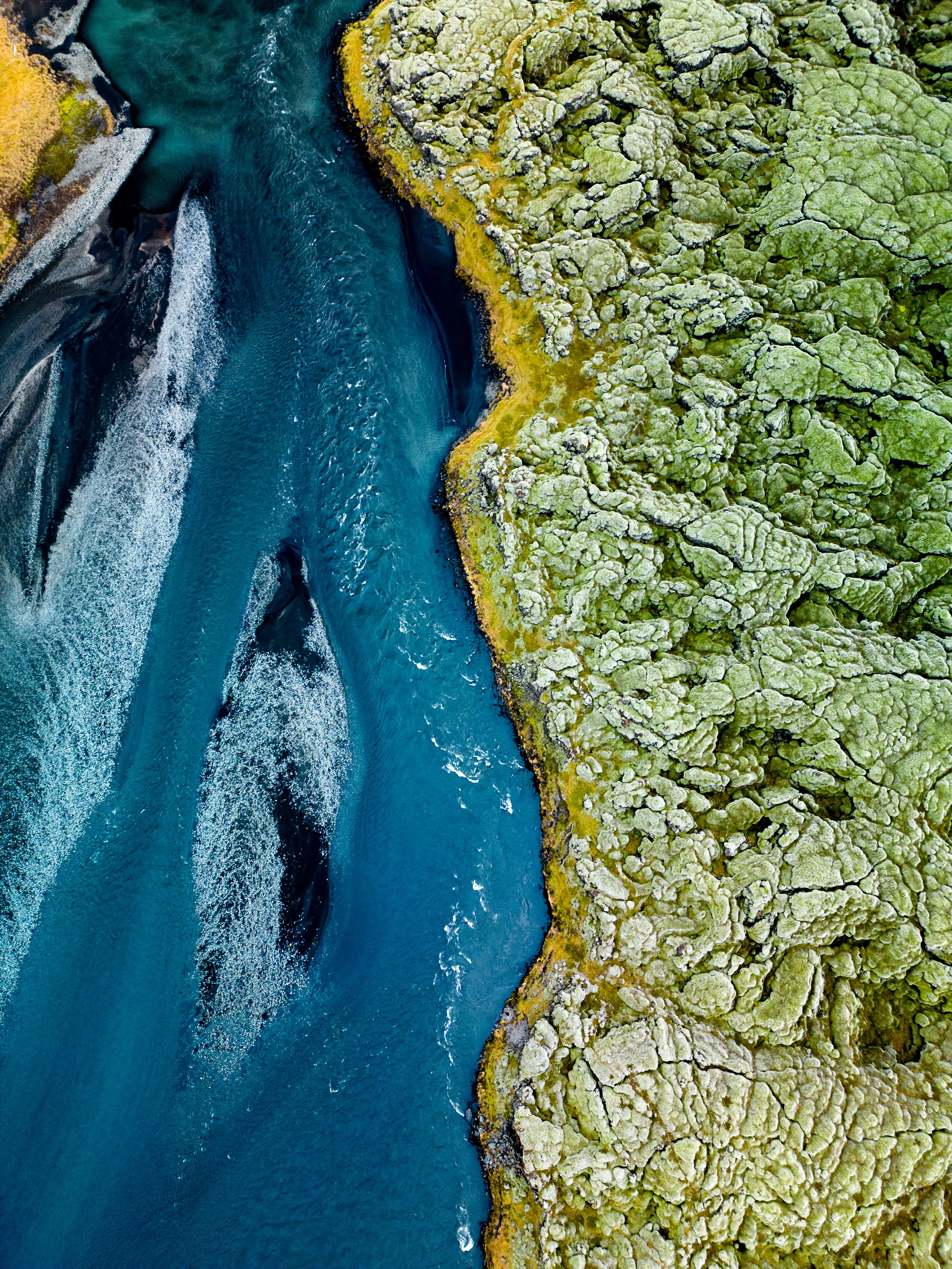 Forces of Nature | 1of5 limited Edition 80x60cm