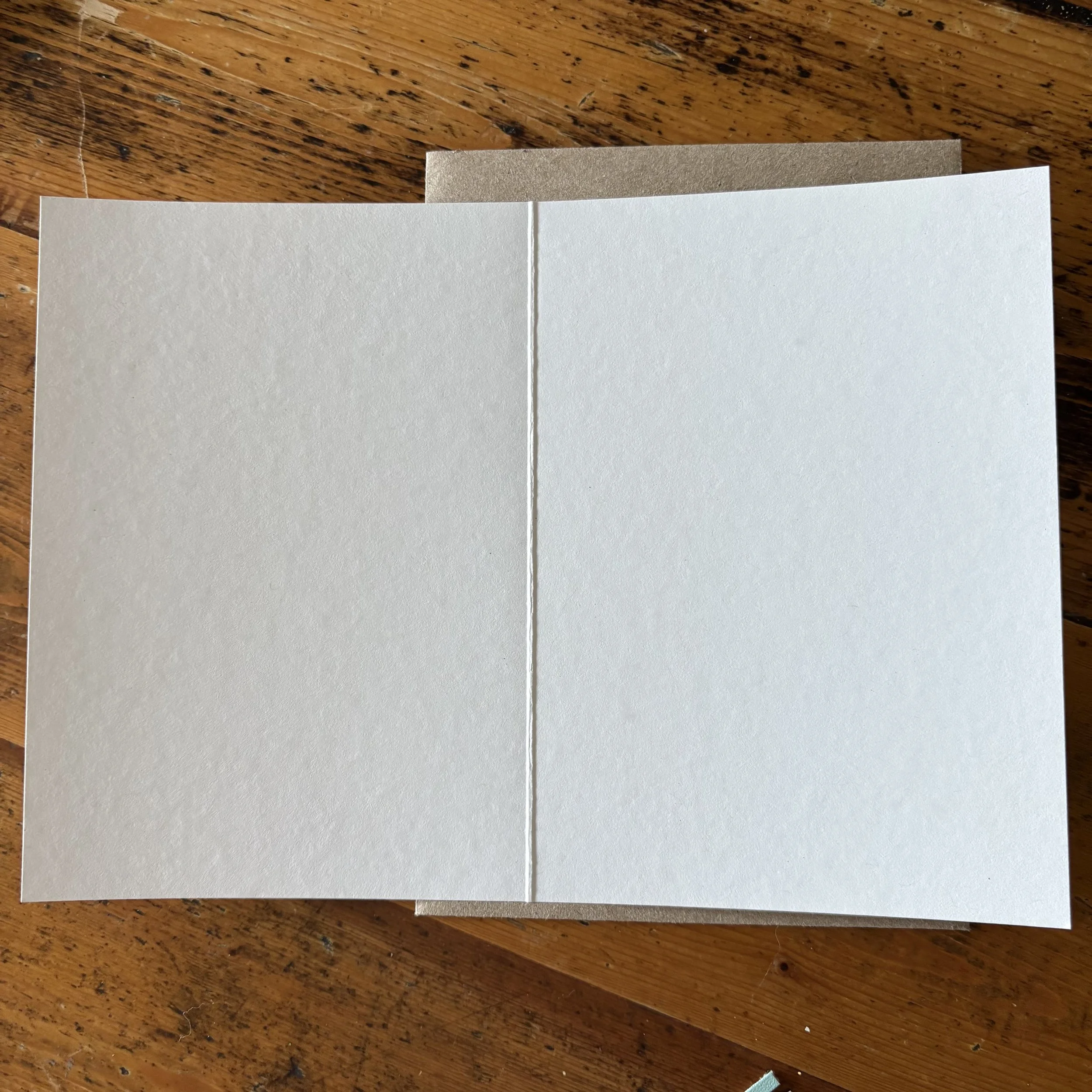 IMG_9864.jpeg (Copy)