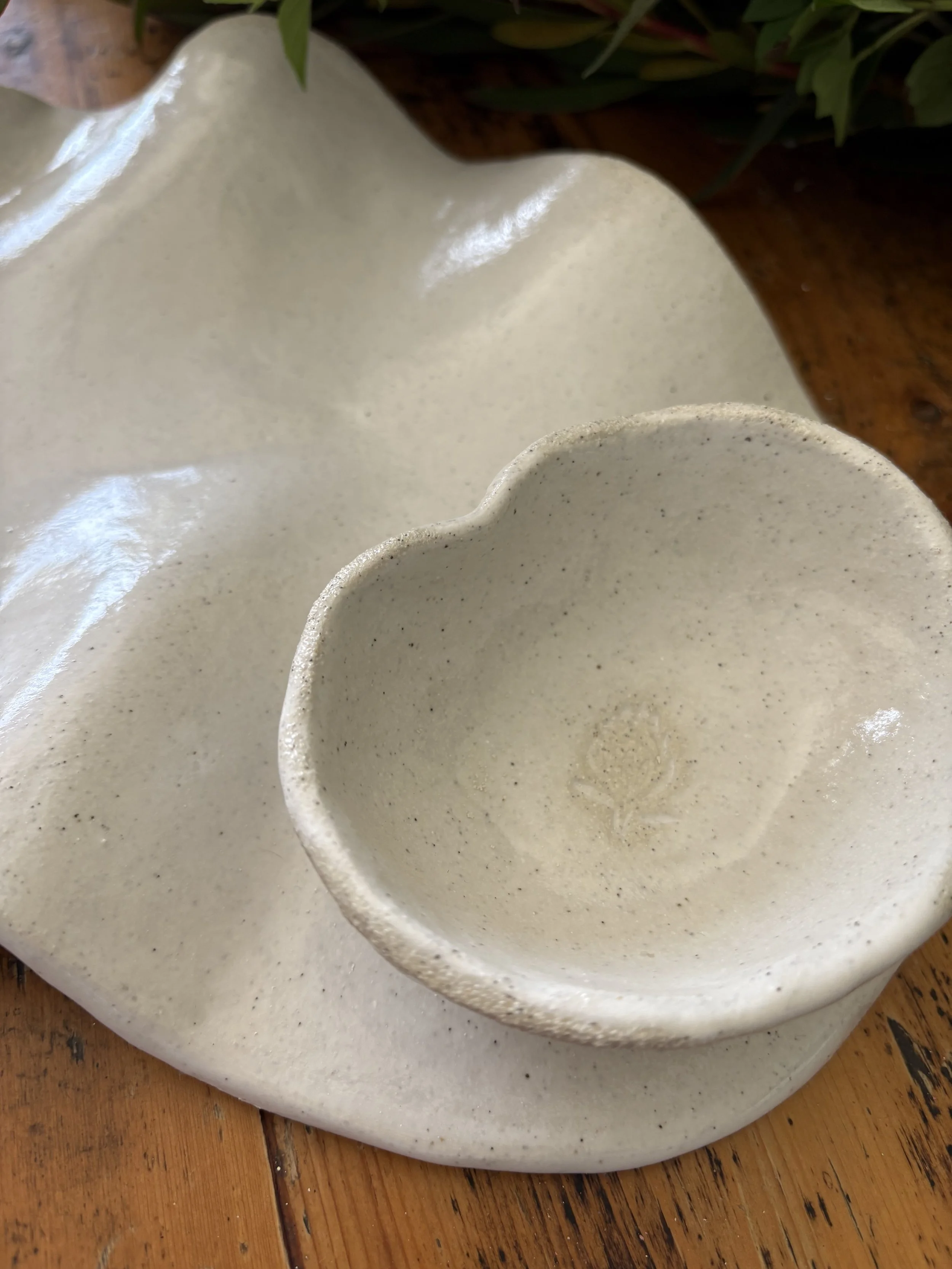 IMG_9667.jpeg (Copy)