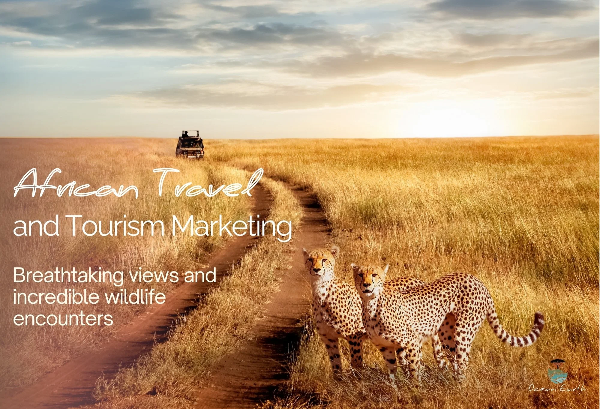 African Travel and Tourism Marketing with Gradient (1).jpg