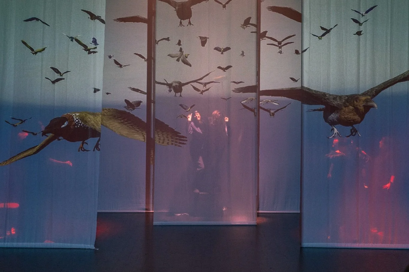 Some stills from the public R&amp;D sharing of The Birds in collaboration with @limbiktheatre 
It was a great experience to see the performers working with and around the digital projections, playing with the interactive nature of the digital space a