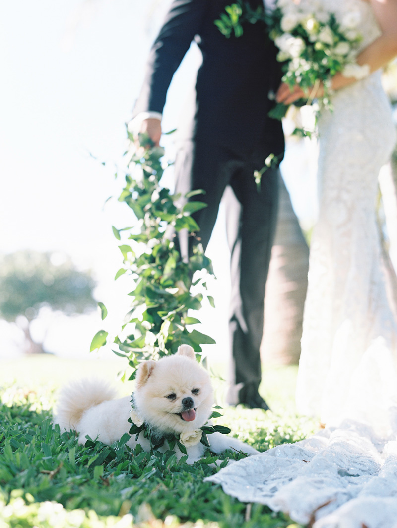 unveiledhawaii.com | Destination Wedding Planner and Designer in Hawaii | Unveiled Weddings at Olowalu Plantation Estate | Wendy Laurel Photography | Destination Planning on Maui Oahu Kauai _ (64).jpg