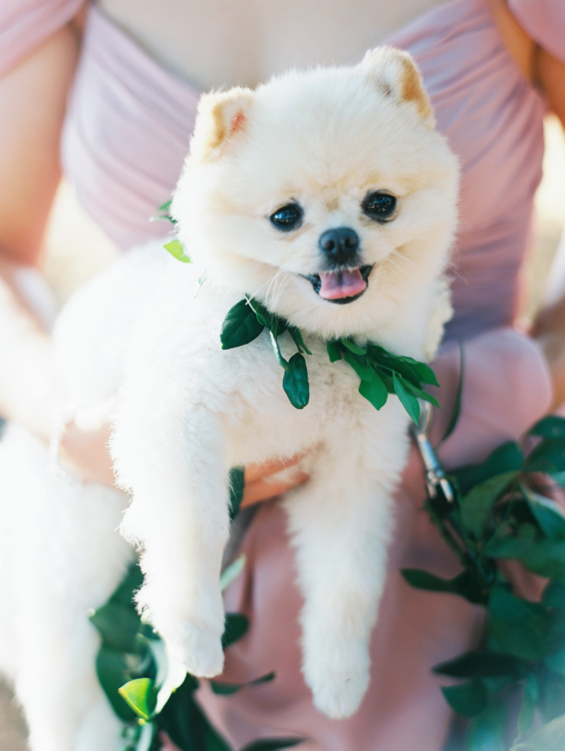 unveiledhawaii.com | Destination Wedding Planner and Designer in Hawaii | Unveiled Weddings at Olowalu Plantation Estate | Wendy Laurel Photography | Destination Planning on Maui Oahu Kauai _ (68).jpg