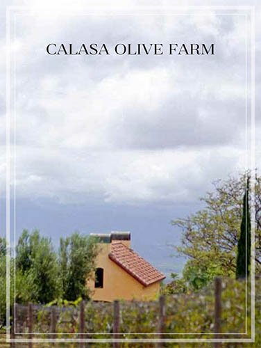 Calasa-Olive-Farm-resize.jpg