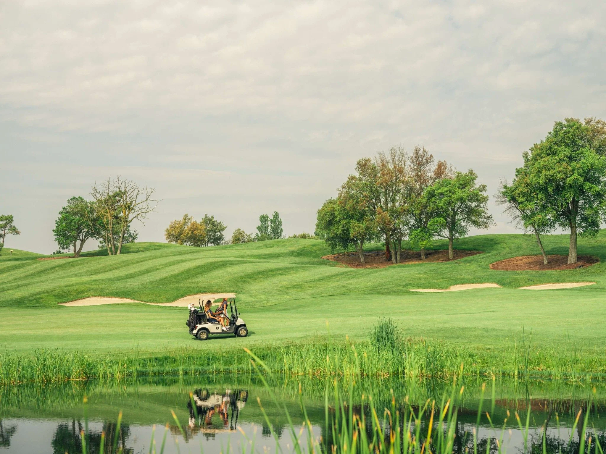 camiral golf2.jpg
