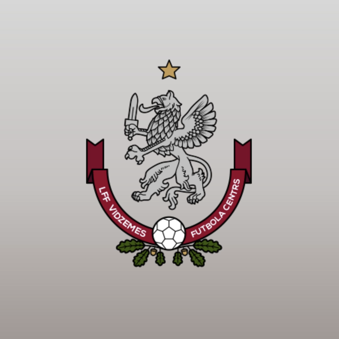 Aizvadīts reģionālo izlašu turnīrs U-14 vecuma grupā