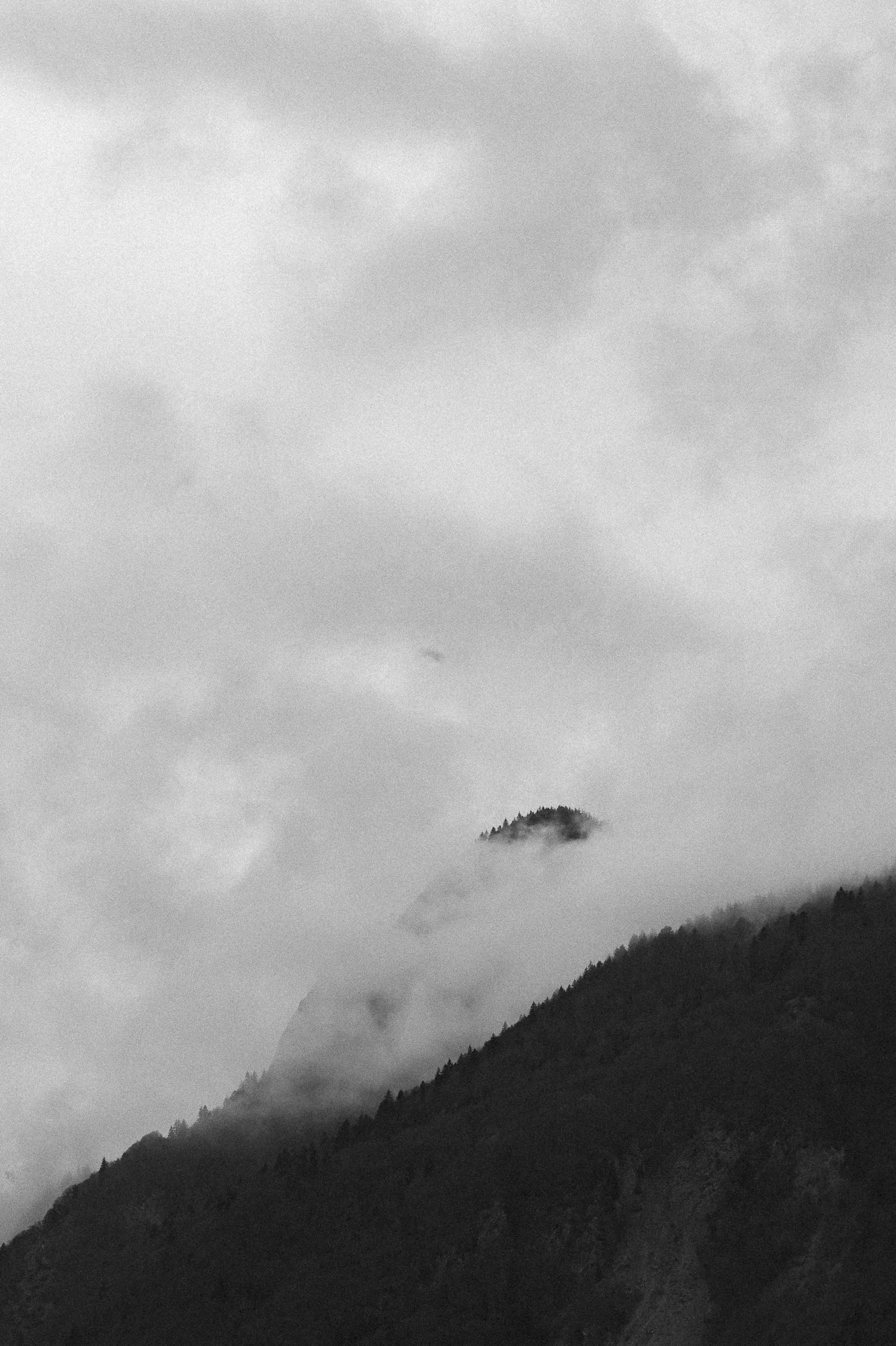 Montagnes brumeuses avec des nuages et des sapins en premier plan, en noir et blanc.