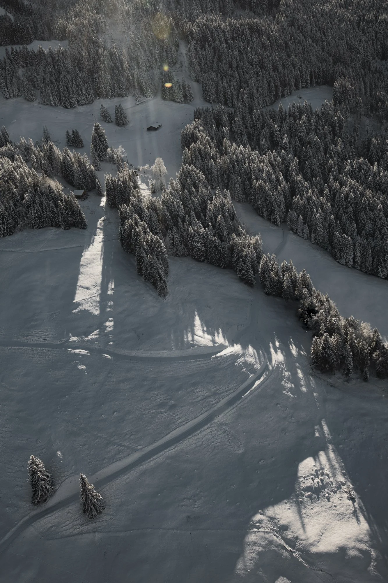 vue aérienne d'une forêt enneigée avec des chemins, une maison et des arbres recouverts de neige.