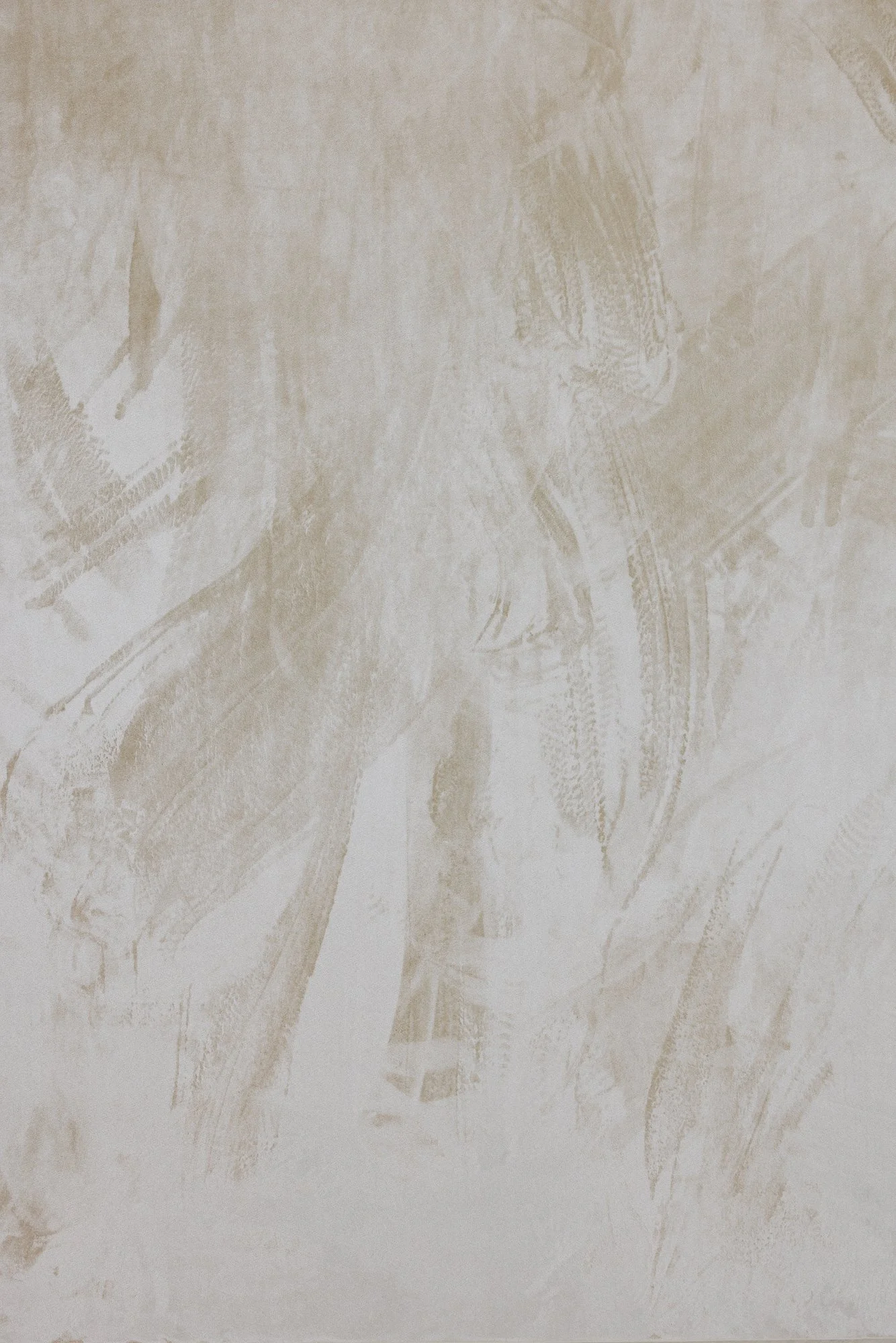 _73A9426- WEB & INSTA.jpg