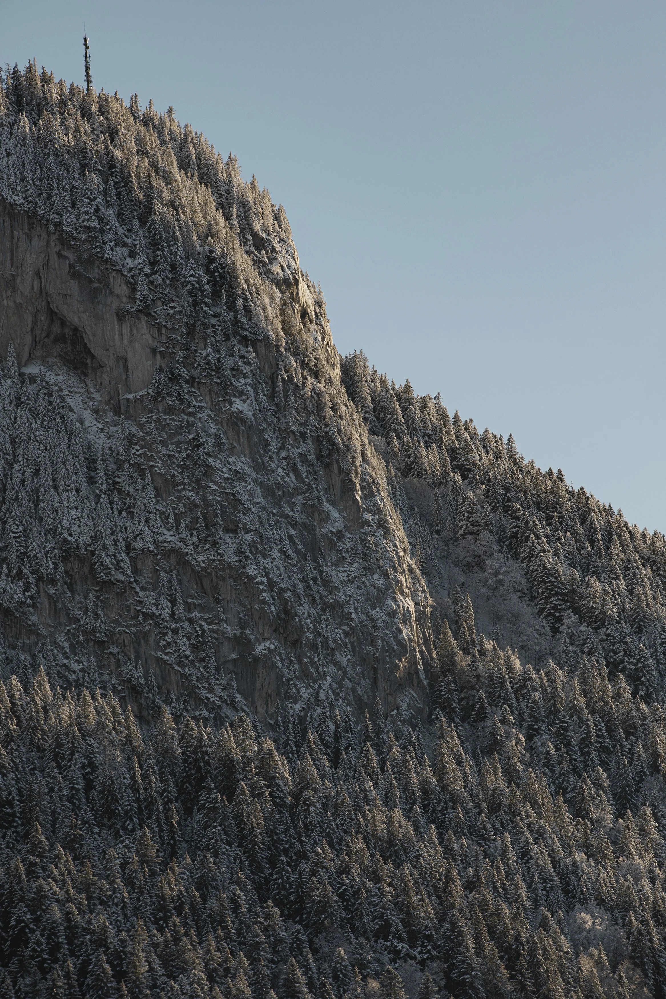 Une montagne couverte de sapins enneigés avec un ciel bleu clair.