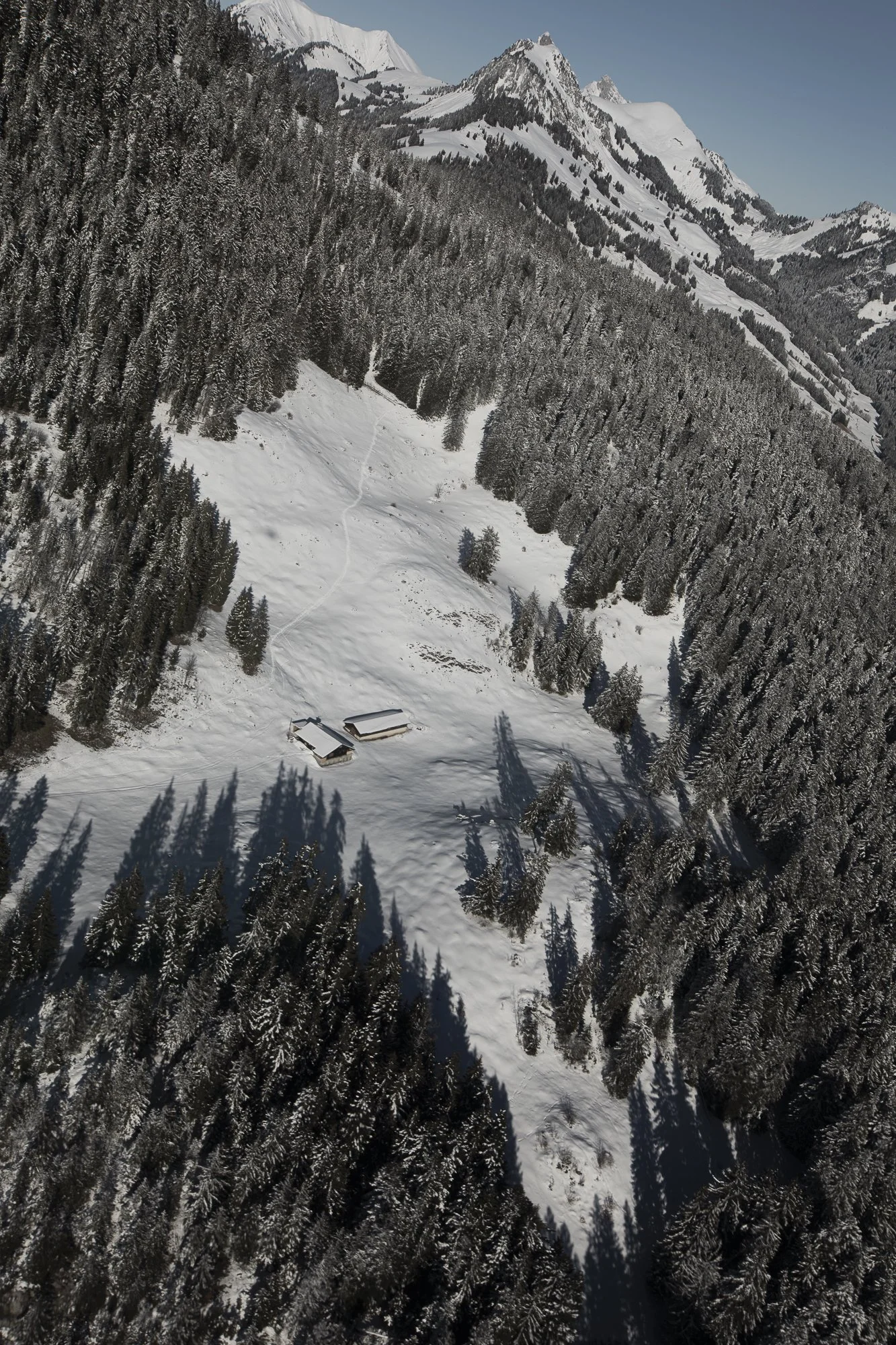 Paysage de montagne enneigée avec bois et quelques cabanes isolées.
